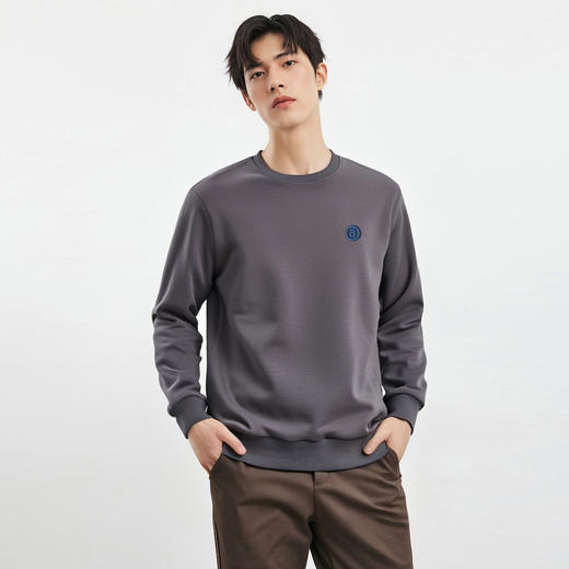 【桑蚕丝混纺】罗蒙春秋款胸花绣花卫衣男士休闲百搭男纯色卫衣长袖圆领T恤上衣男 商品图1