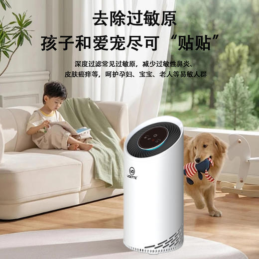 唯帝/WAYPOTAT 家用空气净化器 HC06 商品图2