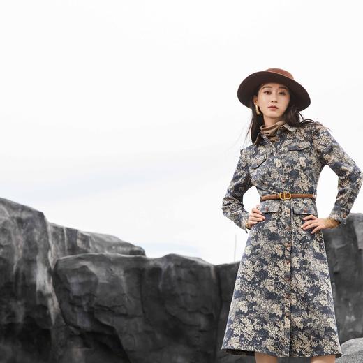 顺丰包邮洛诗琳34224设计感山水画提花翻领收腰连衣裙女553 商品图2