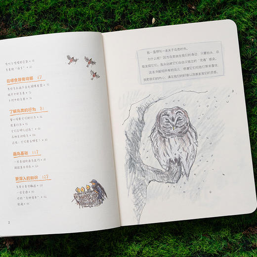 《怎样观察一只鸟》克莱尔 观鸟手册 科普笔记-分销 商品图7