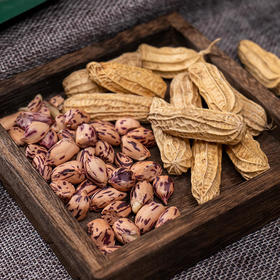 【云海肴烤七彩花生】 带壳熟花生 原味香甜酥脆 颗粒饱满 壳脆易剥