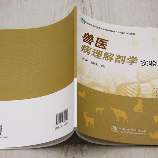 E兽医病理解剖学实验 &3021 商品图5