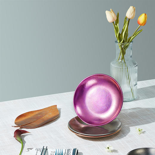 TAIC太可钛度纯钛餐具餐碟菜碟家用鱼盘户外露营野餐轻量便携零食果盘 商品图5