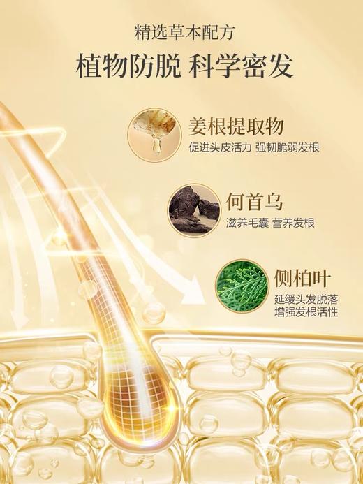 阿道夫防脱洗护专研洗发水(防脱育发)300ml 商品图4