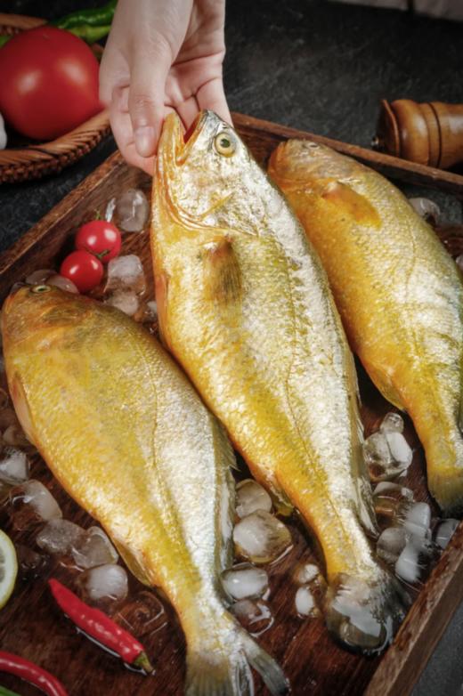 【包邮】丨团购·年货集鱼说海·海宴·鲜礼A369元/4690g适合6-8人团圆饭丨下单后3日内发货 商品图7