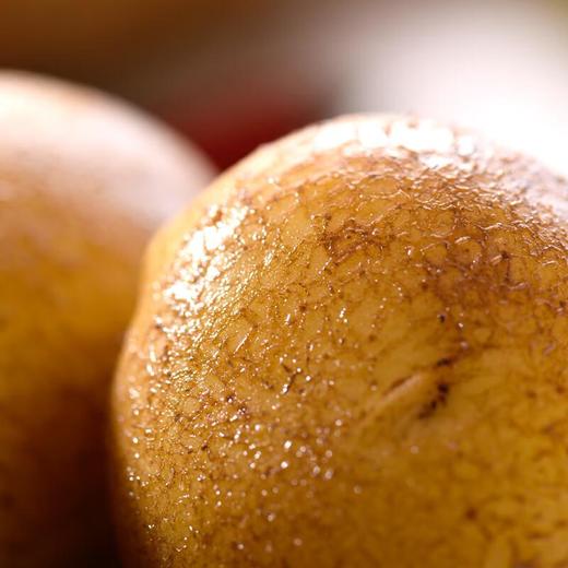 大凉山土豆 约500g/份 商品图1