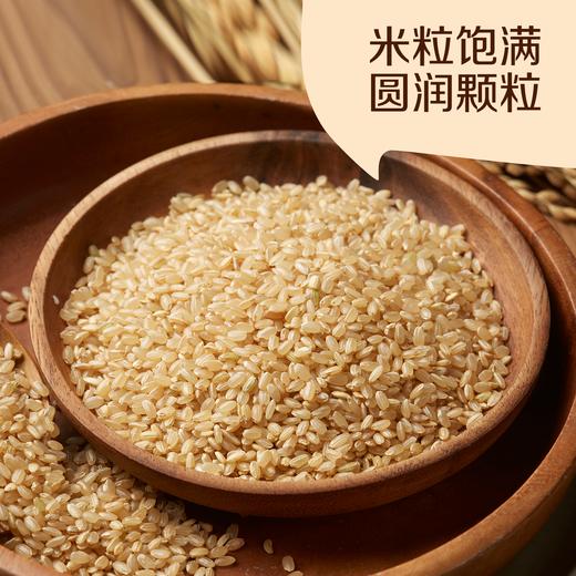 中粮初萃 糙米三色藜麦杂粮组合（1kg糙米+1kg三色藜麦） 商品图3