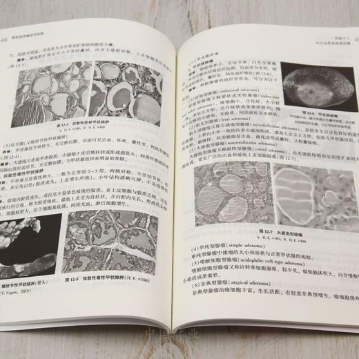 E兽医病理解剖学实验 &3021 商品图3