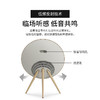 【4F】B&O Beosound A9 5.G 5代 家庭影院音响 商品缩略图6