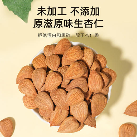 杞里香100g罐装甜杏仁河北好杏仁甜杏仁，个头大，坚果香气足，不苦，日常生食，香脆可口，煮粥泡水皆可以 商品图2