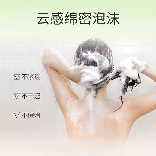 阿道夫无硅油洗发水(四项专研)500ml 商品图4