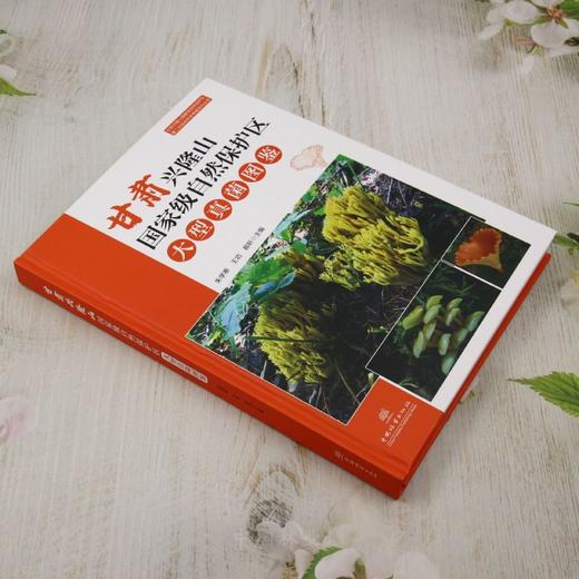 甘肃兴隆山国家级自然保护区大型真菌图鉴（甘肃兴隆山国家级自然保护区第二次综合科学考察系列丛书） &2942 商品图1