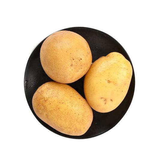大凉山土豆 约500g/份 商品图3