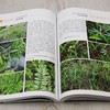 老挝药用植物图鉴① &2990 商品缩略图4