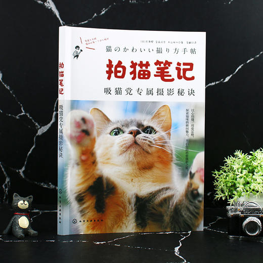 拍猫笔记:吸猫党专属摄影秘诀 商品图2