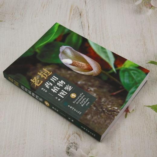 老挝药用植物图鉴① &2990 商品图2