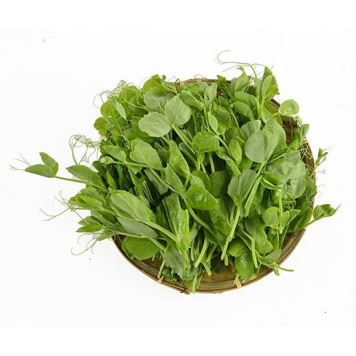 豌豆尖 约180g/袋 商品图2