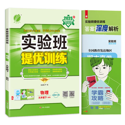 2025年春【北师大版】九年级下册物理 实验班提优训练 商品图4