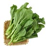 每日伊藤菜心 约200g/袋 商品缩略图3
