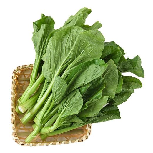 每日伊藤菜心 约200g/袋 商品图3