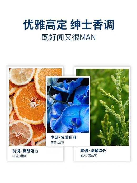 阿道夫茶树精油男士洗发水(祛屑止痒)450g 商品图3