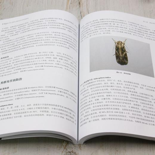 东莞市大岭山森林公园综合科学考察报告 &2936 商品图4