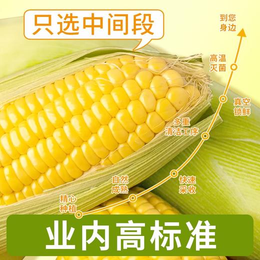 在菌屋水果玉米段 商品图4