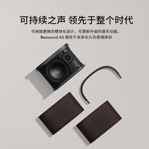 【4F】B&O Beosound A5 便携式音响 商品图1