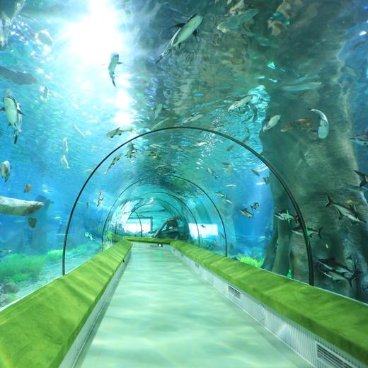 罗源湾海洋世界主馆（赠决战神龙岛）【LY】 商品图2