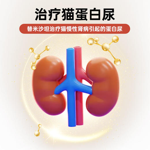 澳龙咪莎平替米沙坦内服溶液专猫咪专用肾衰药慢性肾病口服液30ml 商品图1