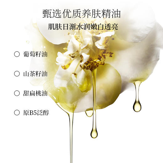 【自带氛围香】栖溪野境胡桃烟酰胺香砂沐浴露 白桦檀影/入寝佩兰/雪浸山茶/疏影杏桂 251g/290g [赠送旅行装] 商品图12