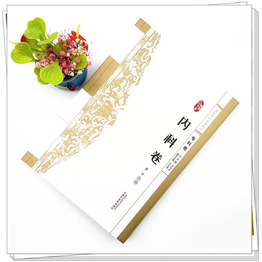 浙派中医:内科卷(专科卷) 黄平 主编 中国中医药出版社 浙派中医系列丛书 中医临床 书籍 商品图1