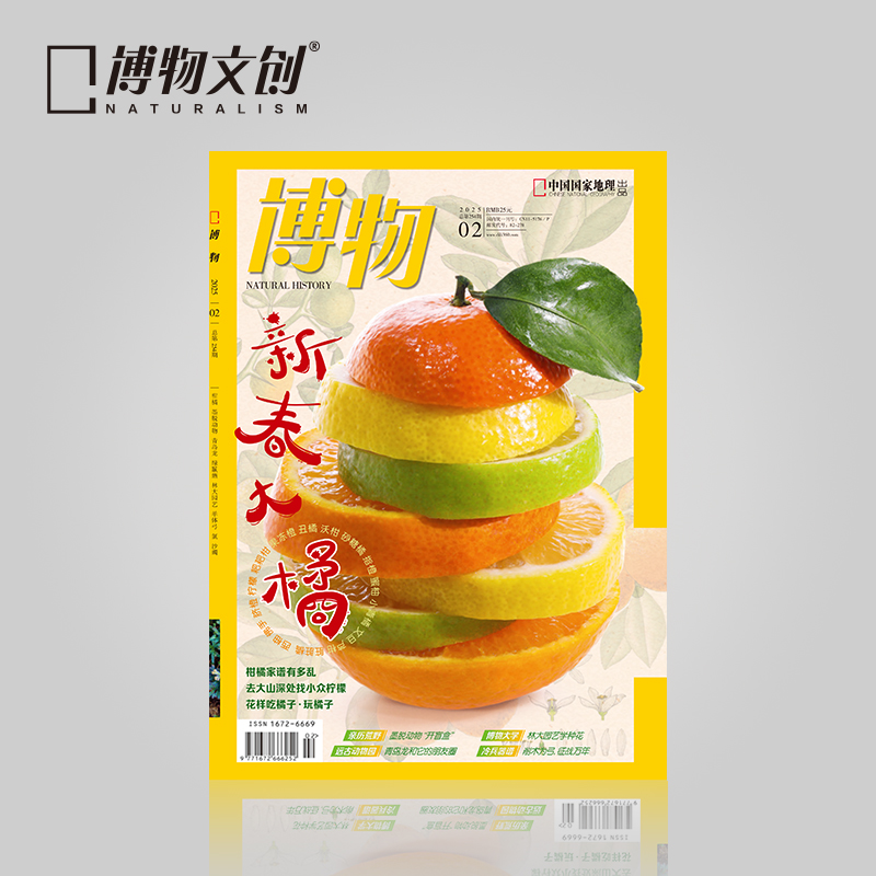 博物杂志 2025年2月刊  新春大橘