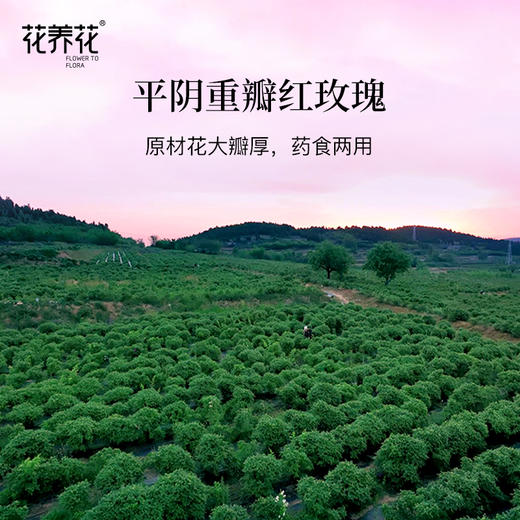 冰玫瑰酒礼盒375ml*2瓶 低度甜酒 浓郁玫瑰香 商品图2