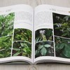 老挝药用植物图鉴② &2986 商品缩略图5