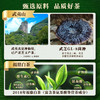 元生泰 紫芝白茶3g*16泡/盒 武夷山紫灵芝切片配比福鼎老白茶 商品缩略图4