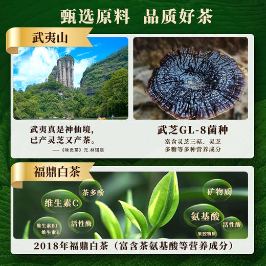 元生泰 紫芝白茶3g*16泡/盒 武夷山紫灵芝切片配比福鼎老白茶 商品图4