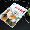 拍猫笔记:吸猫党专属摄影秘诀 商品缩略图3