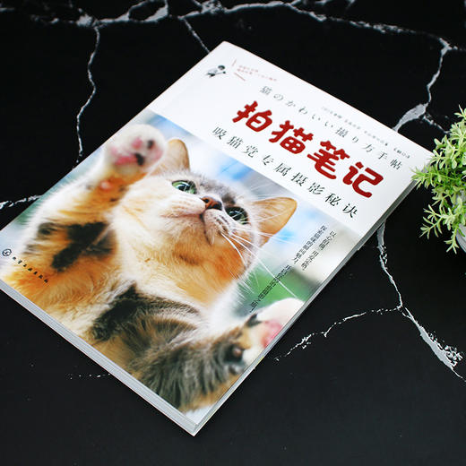 拍猫笔记:吸猫党专属摄影秘诀 商品图3