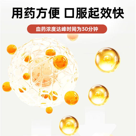 澳龙咪莎平替米沙坦内服溶液专猫咪专用肾衰药慢性肾病口服液30ml 商品图3