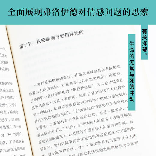 哀悼与忧郁 商品图3