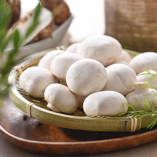 蘑菇 约200g/份（新鲜） 商品图0