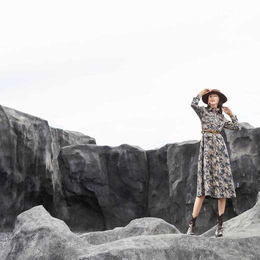 顺丰包邮洛诗琳34224设计感山水画提花翻领收腰连衣裙女553 商品图1