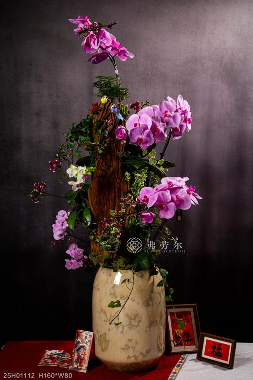 蛇通广大 商品图0