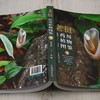 老挝药用植物图鉴① &2990 商品缩略图1