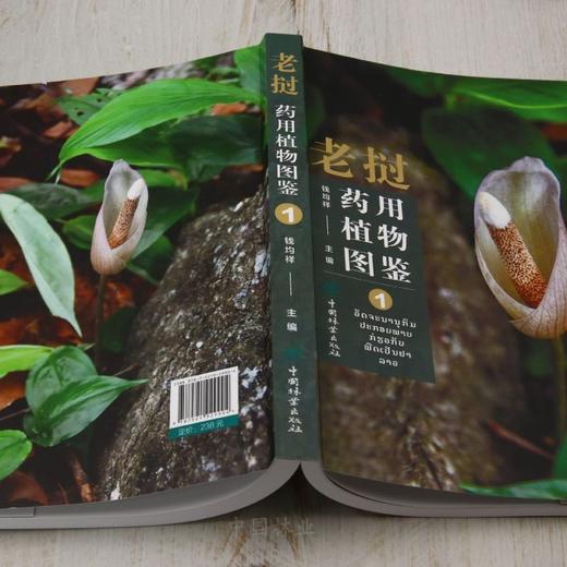 老挝药用植物图鉴① &2990 商品图1