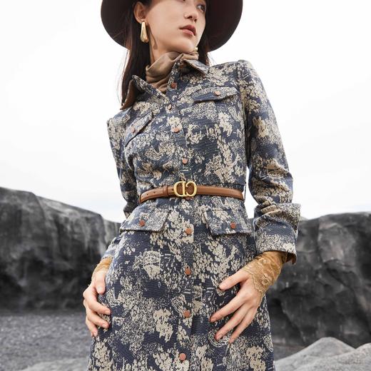 顺丰包邮洛诗琳34224设计感山水画提花翻领收腰连衣裙女553 商品图0