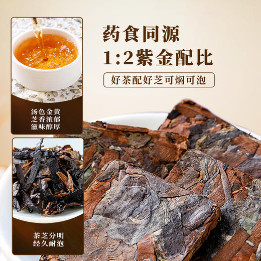 元生泰 紫芝白茶3g*16泡/盒 武夷山紫灵芝切片配比福鼎老白茶 商品图2