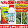 松脂酸钠代森铵杀青苔果树清园剂柑橘铁皮石斛杨梅蚧介壳虫杀虫剂 商品缩略图2