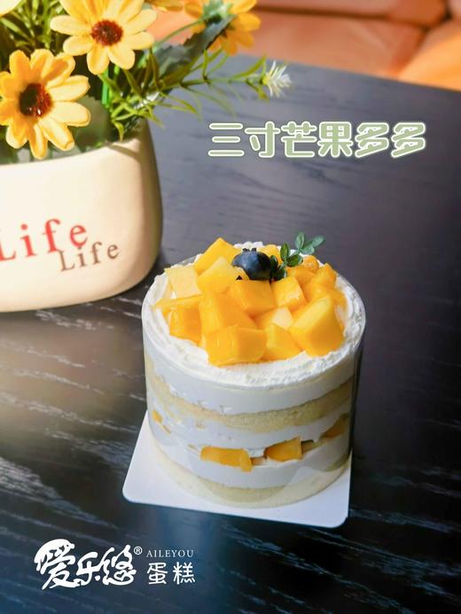 三寸芒果多多 商品图0